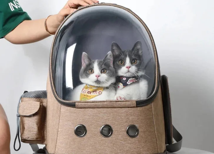 Accessories For Cats – Cuddle Crew