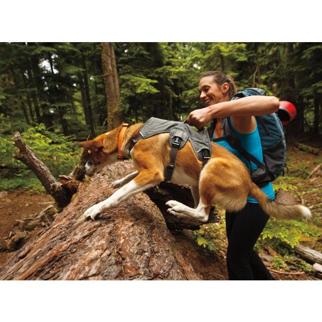 Ruffwear WebMaster Dog Harness