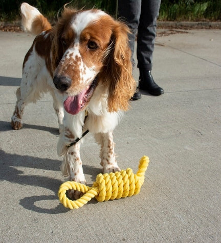 Ebi Bite Me 'Tug Life' 2 Loops Playing Rope