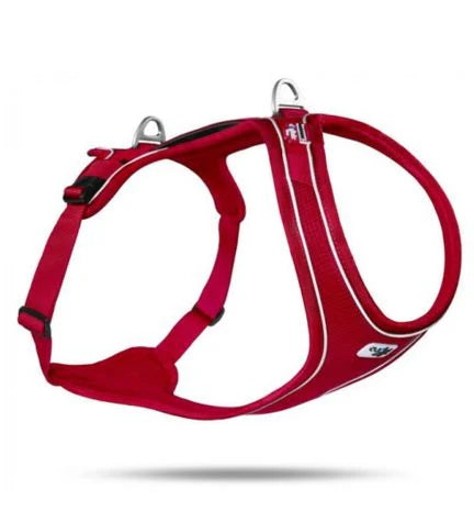 Curli Belka Comfort Harness for Dogs