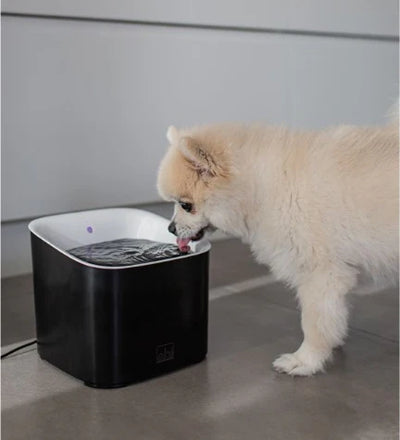 Ebi Manoa Drinking Fountain  for Dogs & Cats