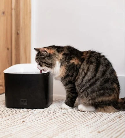 Ebi Manoa Drinking Fountain  for Dogs & Cats