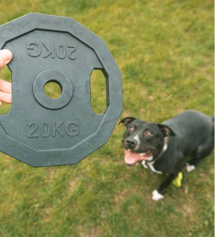 Ebi Bite Me 'For the Gainz' Barbell Dog Toy