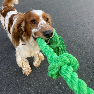 Ebi Bite Me 'Floss' Playing Rope with 5 Knots