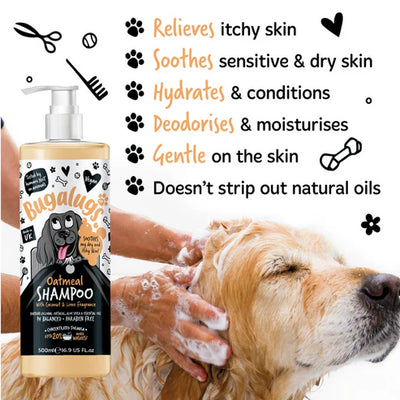 Bugalugs Oatmeal with Coconut & Lime Dog Shampoo- 500ML