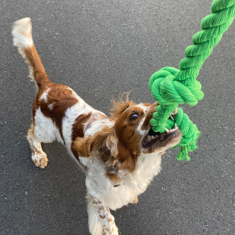 Ebi Bite Me 'Floss' Playing Rope with 5 Knots