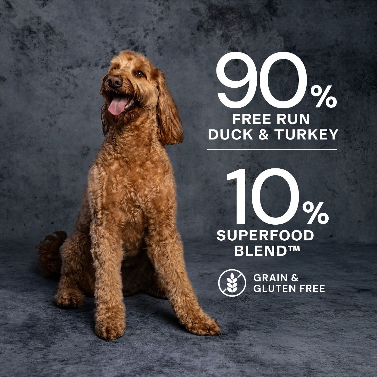 AATU Duck & Turkey Wet Dog Food 400g
