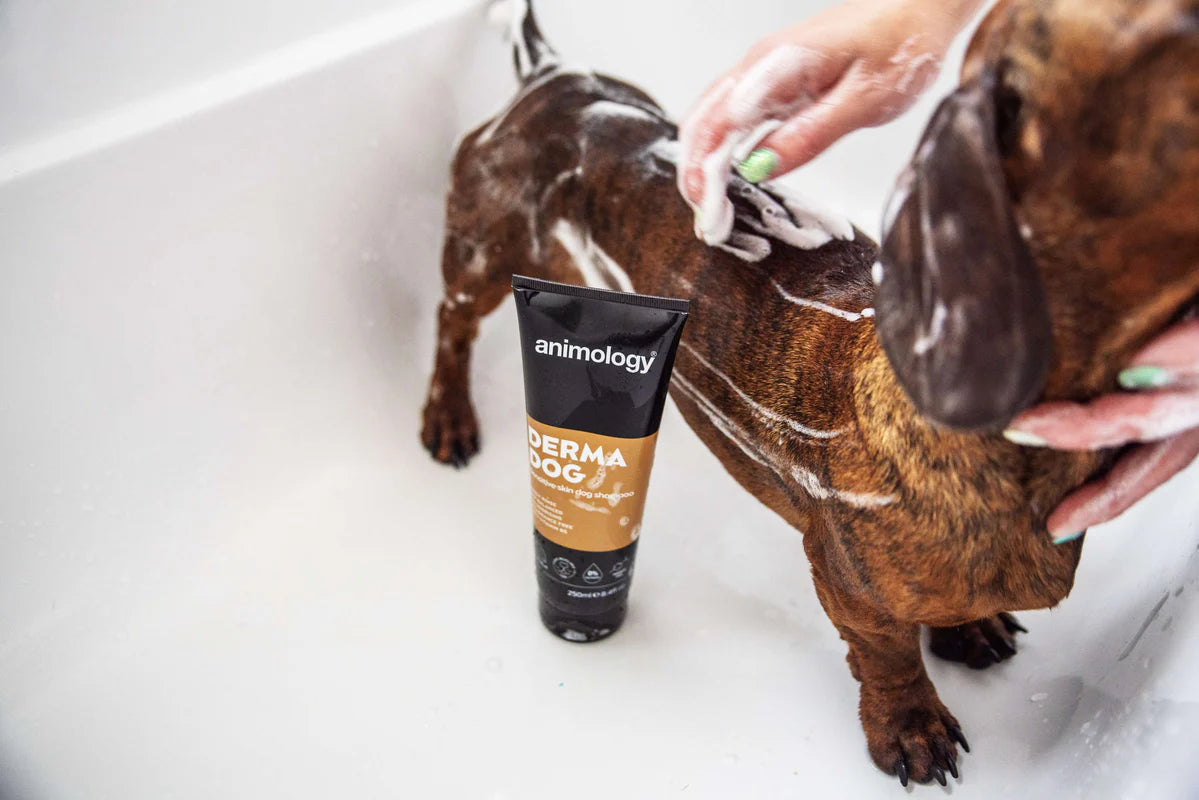 Animology Derma Dog Sensitive Skin Dog Shampoo