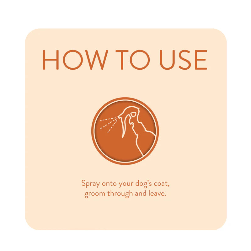 Animology Dirty Dawg No Rinse Dog Shampoo 250ml