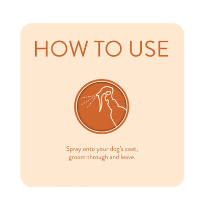 Animology Dirty Dawg No Rinse Dog Shampoo 250ml