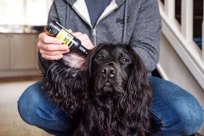 Animology Dog Clean Ears 100ml