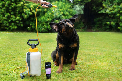 Animology Flea & Tick Puppy & Dog Shampoo