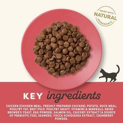 Applaws Chicken with Duck Adult Dry Cat Food