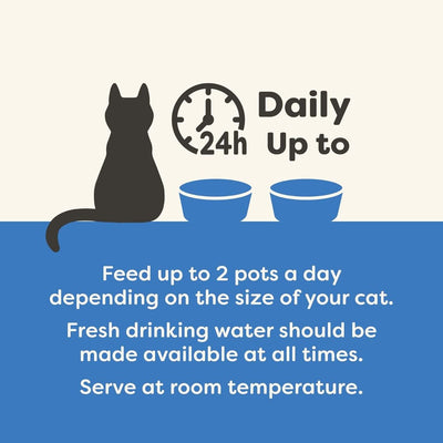 Applaws Fish Selection in Broth Adult Wet Cat Food 8 x 60g Pot