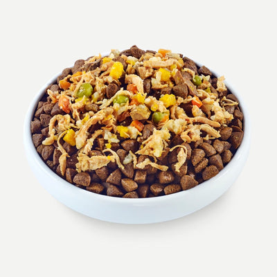 Applaws Taste Toppers in Broth Chicken with Beef Wet Dog Food 156g Tin