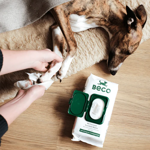 Beco Bamboo Coconut Scented Dog Wipes