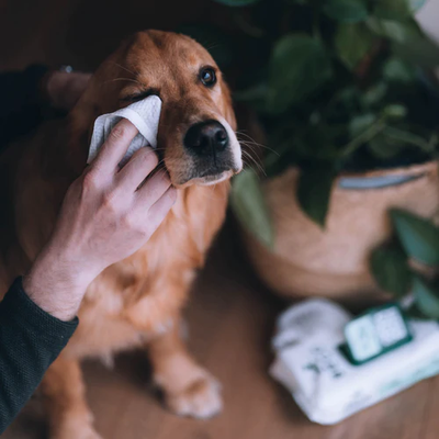 Beco Bamboo Coconut Scented Dog Wipes