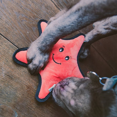 Beco Pets Rough & Tough Starfish Recycled Dog Toy