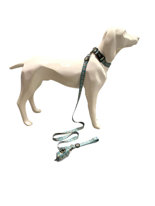 Bud & Billy Dunes Oasis Leash