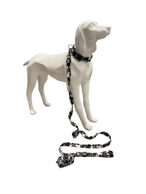 Bud & Billy Monochrome Chic Dog Collar