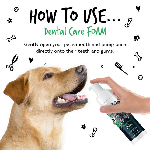 Bugalugs Dental Care Foam for Dogs & Cats - 200ML