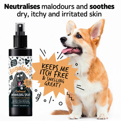 Bugalugs Oatmeal with Coconut & Lime Dog Deodorising Spray - 200ML