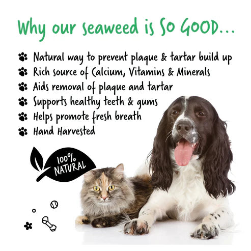 Bugalugs Plaque Remover for Dogs & Cats - 200G