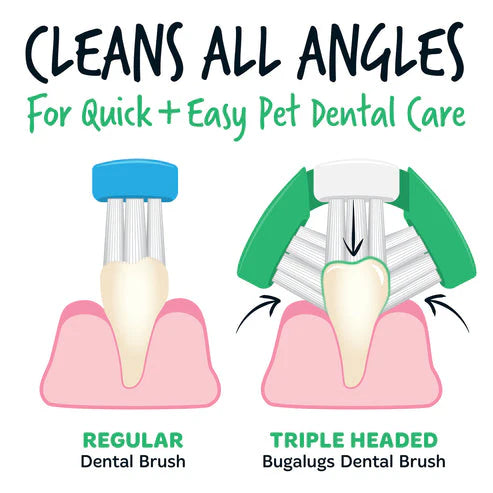 Bugalugs Triple Headed Toothbrush for Dogs & Cats - 2PCS