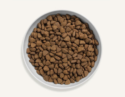 Canagan Country Game Dry Cat Food