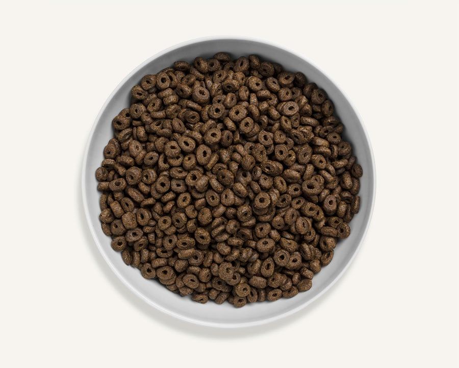Canagan Scottish Salmon Small Breed Dry Dog Food