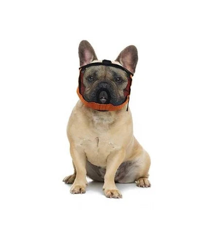 Chadog Diffusion Brachycephalic Muzzle for Pets