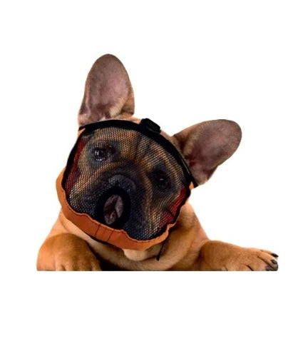 Chadog Diffusion Brachycephalic Muzzle for Pets