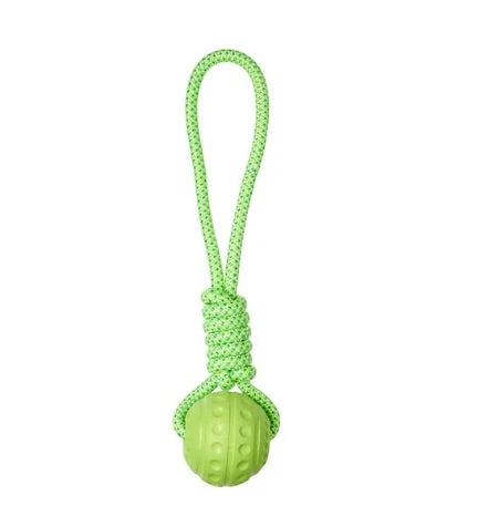 Companion Aqua Ball on Rope Toy for Dogs