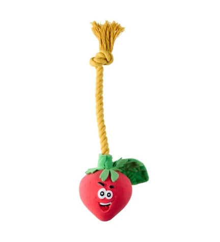 Companion Strawberry Squeaker Toy for Dogs