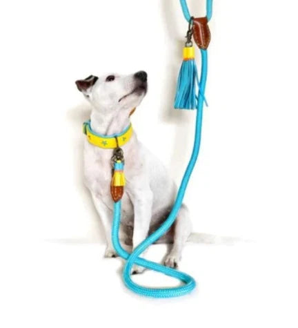 DWAM Extra Long Blues Dog Leash