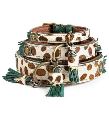 DWAM Ivy Dog Collar