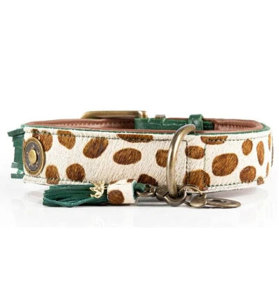 DWAM Ivy Dog Collar