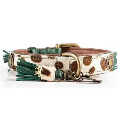 DWAM Ivy Dog Collar