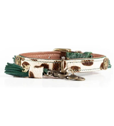 DWAM Ivy Dog Collar