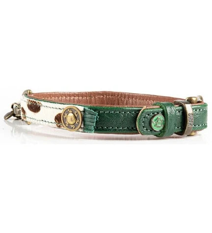 DWAM Ivy Dog Collar