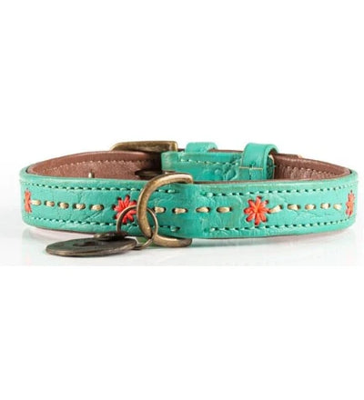 DWAM Janis Dog Collar