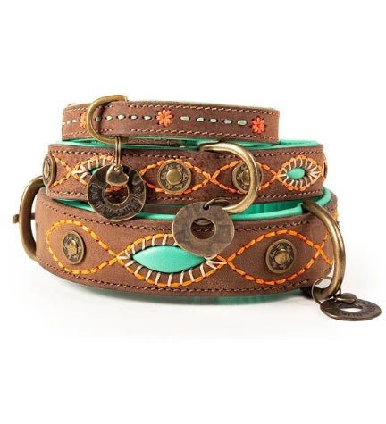 DWAM Joplin Dog Collar