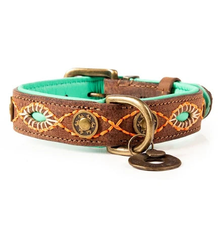 DWAM Joplin Dog Collar