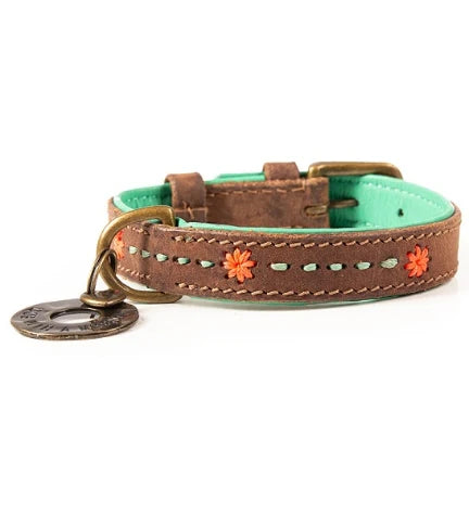 DWAM Joplin Dog Collar