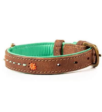 DWAM Joplin Dog Collar