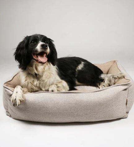 D&D Bob Basket Bed for Dogs