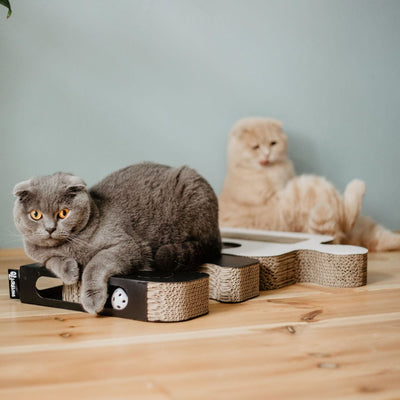 District 70 Puzzle Cardboard Scratcher Cat Toy