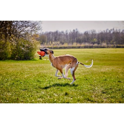 Doggi Rugby Ball