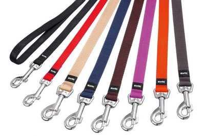 Flamingo Art Sportiv Nylon Dog Leash