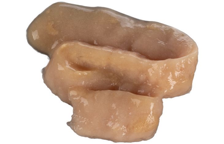 Flamingo Deli Yumm Fresh Meat Snack Tuna & Shrimp Cat Treats 70g